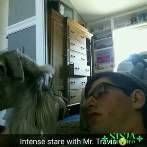 Meet your Posher, Alex